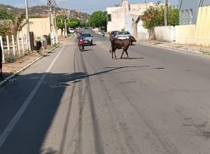 IMG_20250102_084132